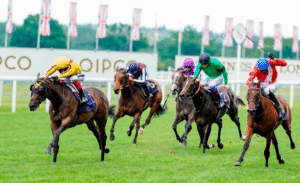 Racehorses With Unique Personalities