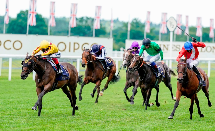 Racehorses With Unique Personalities