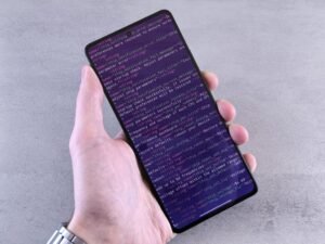 phone number with area code 310